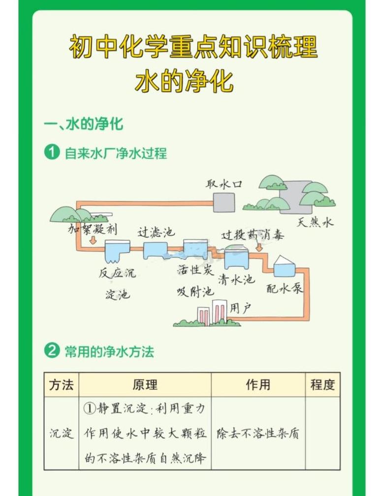 苔藓植物与植物种植：水质净化新视角
