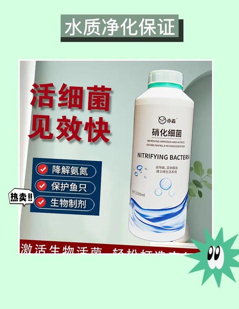 养鱼用品使用指南：硝化菌、水质稳定剂、专用盐混用禁忌解析