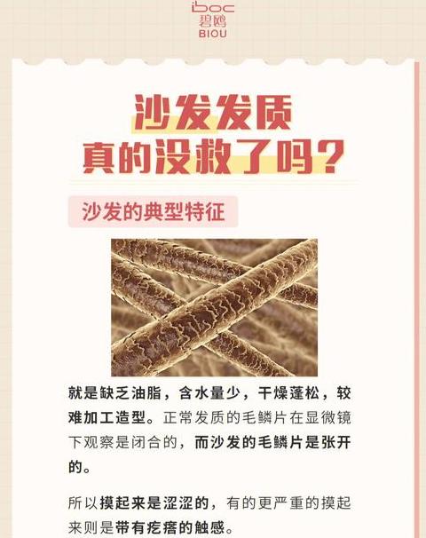 告别沙发发质，彻底改变秀发质感攻略