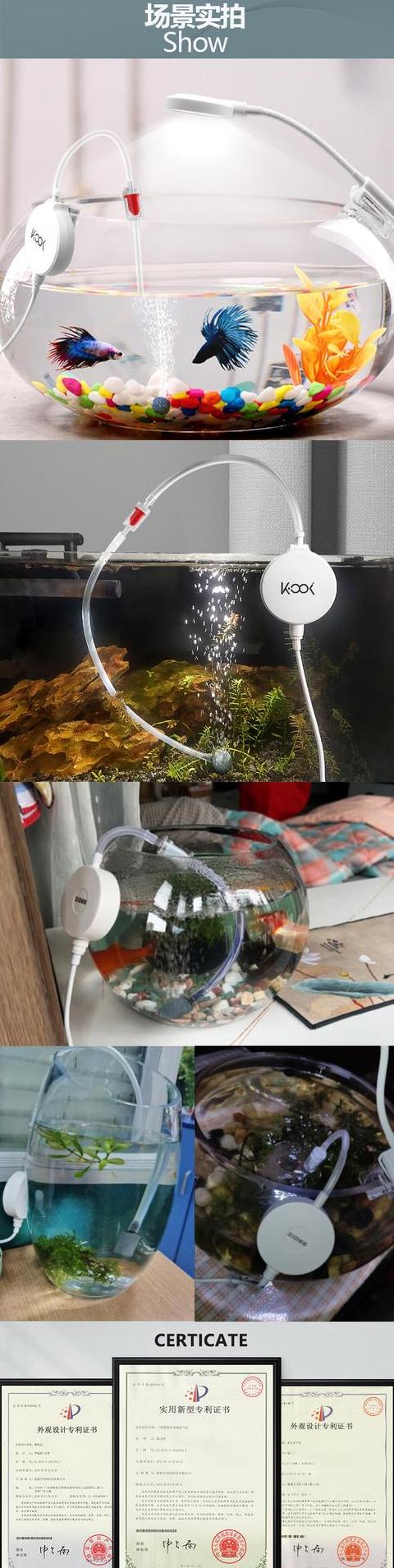 家用增氧机品牌推荐及小鱼缸使用技巧
