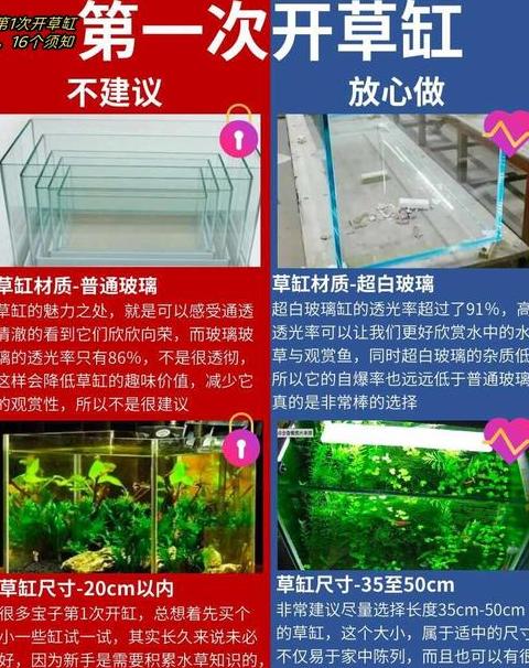 新草缸换水时间与频率指南
