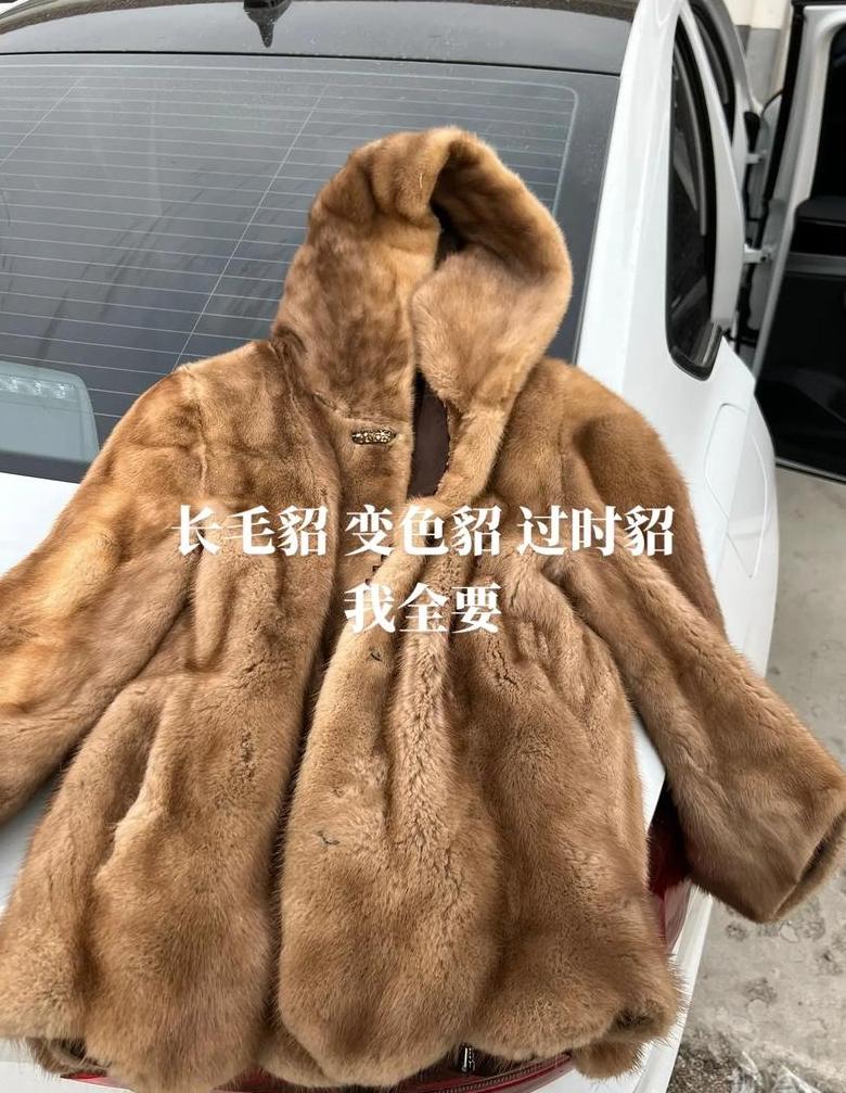 2025年貂皮大衣销量预测与趋势分析