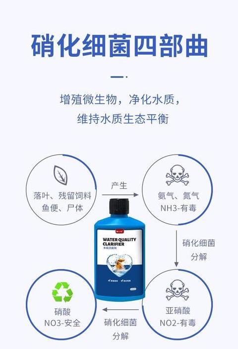 养鱼水质浑浊？揭秘净水器与澄清剂使用攻略