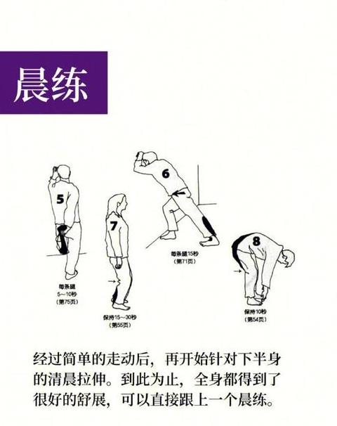 常见体能训练动作及恢复技巧解析