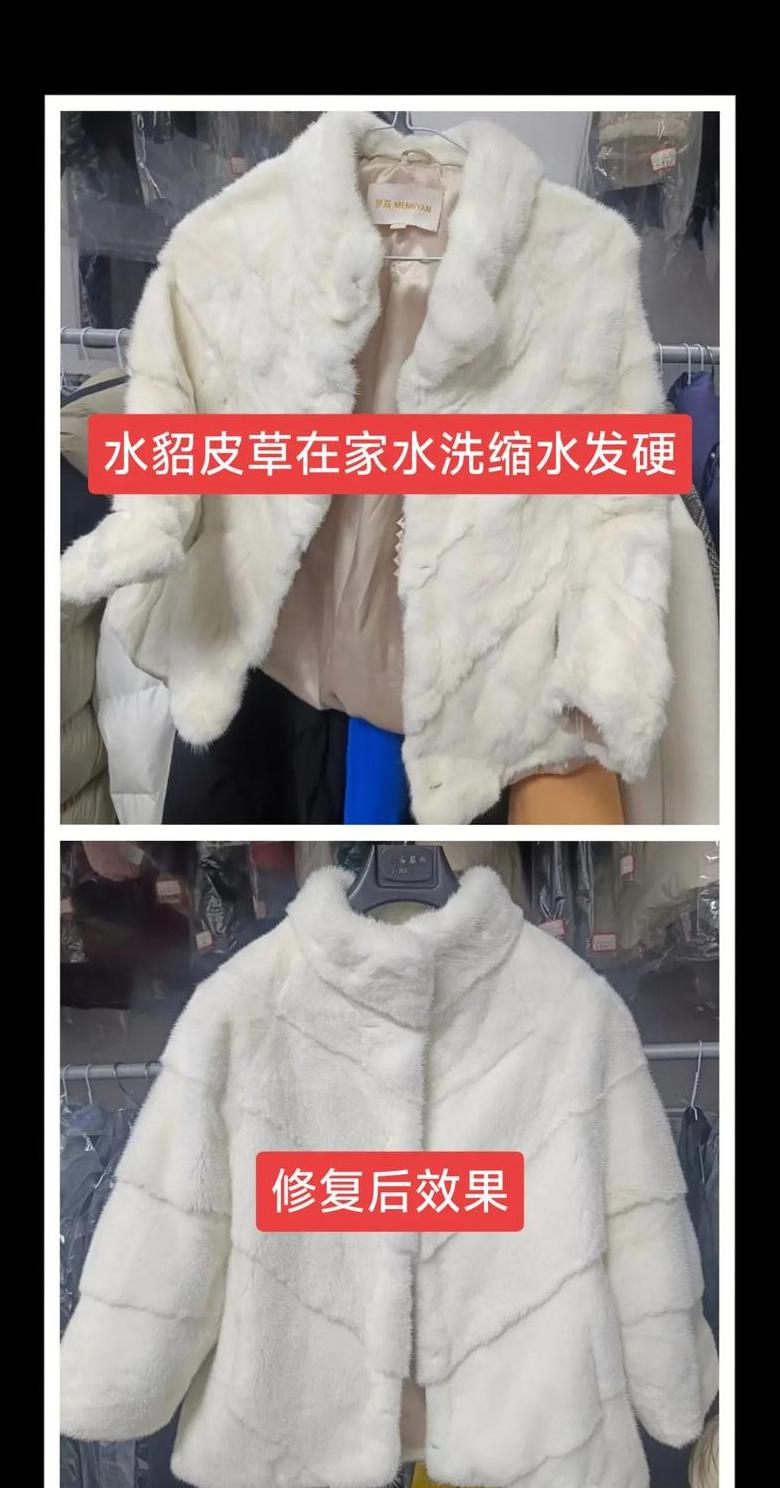在家轻松清洗貂皮大衣攻略