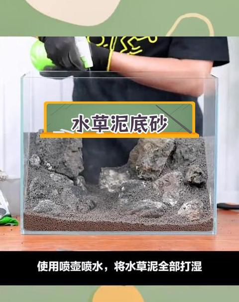 草缸隔板架空放置可行性与维护要点