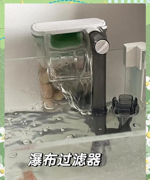 鱼缸过滤器增氧效果解析：替代增氧机？还需搭配氧泵？