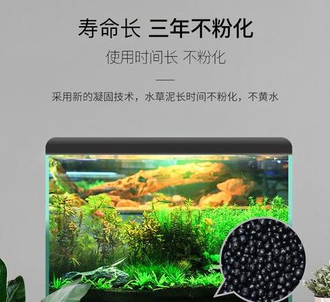 鱼缸底部铺材选择指南