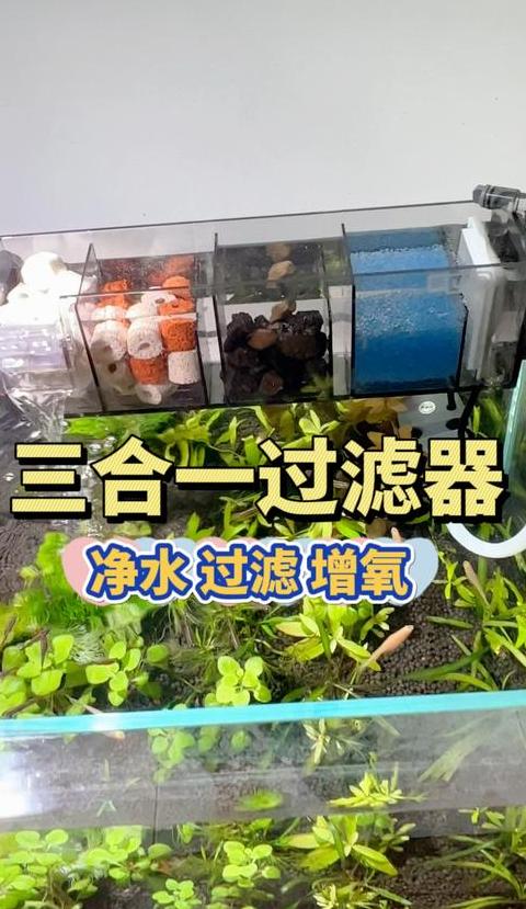 鱼缸增氧泵与过滤器使用攻略：出氧口堵塞、维护要点解析