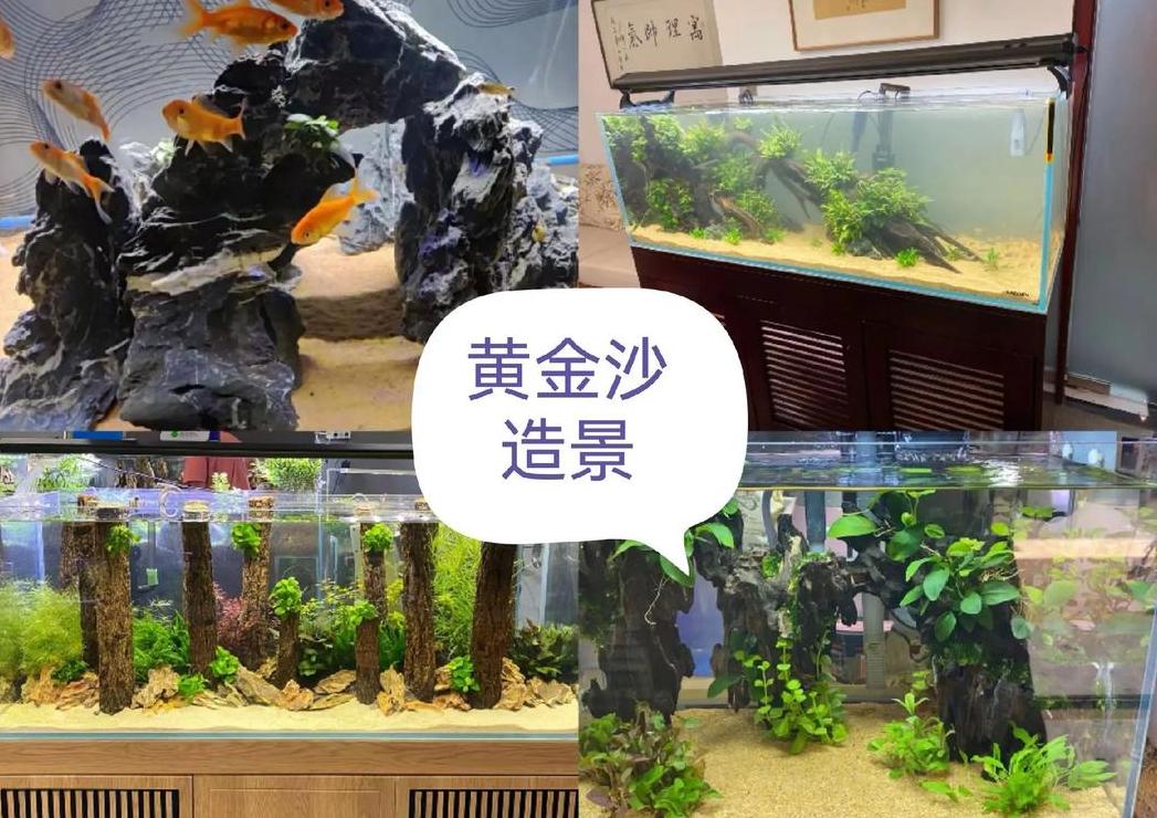鱼缸底部铺设材料大揭秘