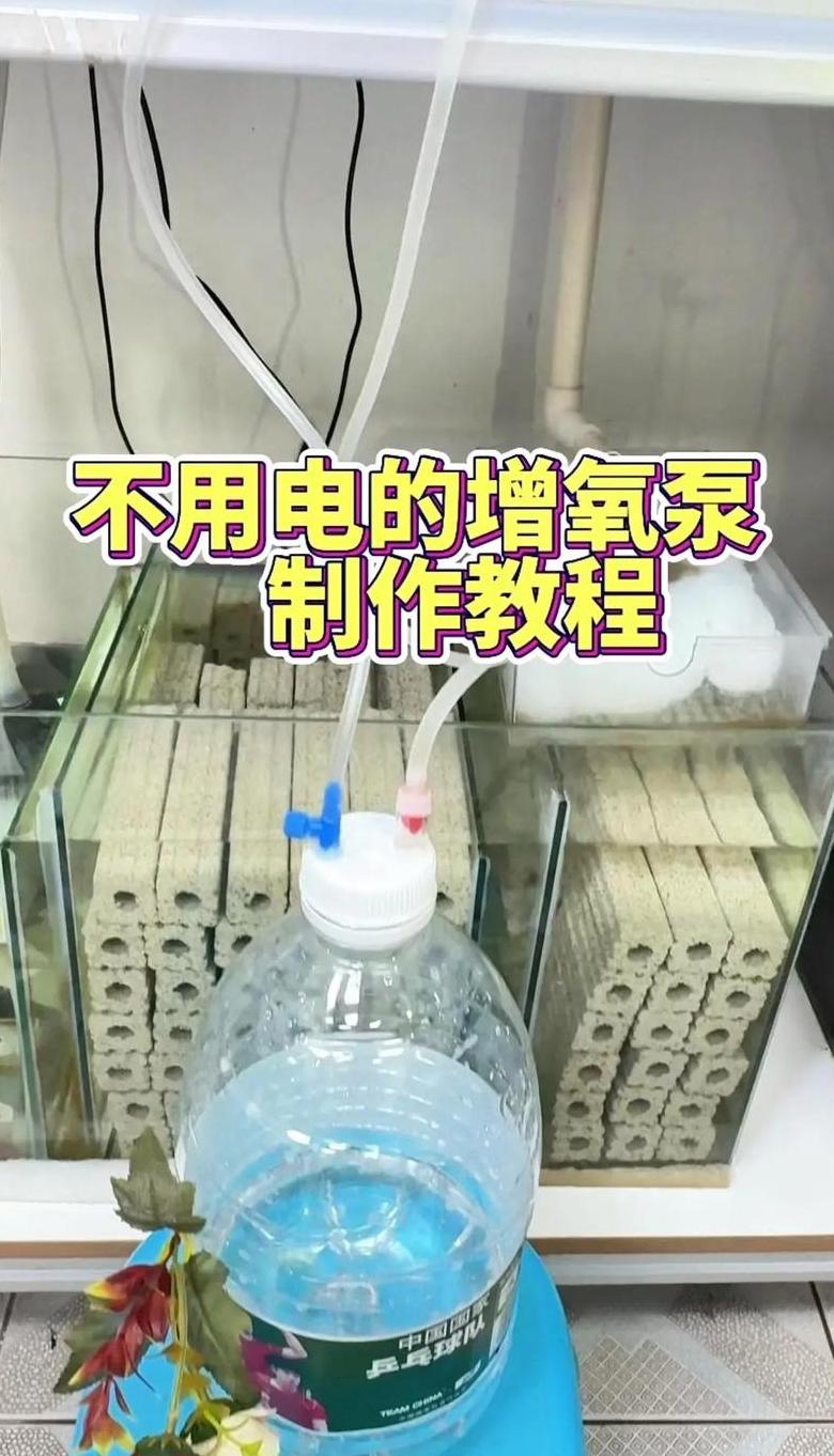 鱼缸缺氧解决方案：人工增氧小技巧