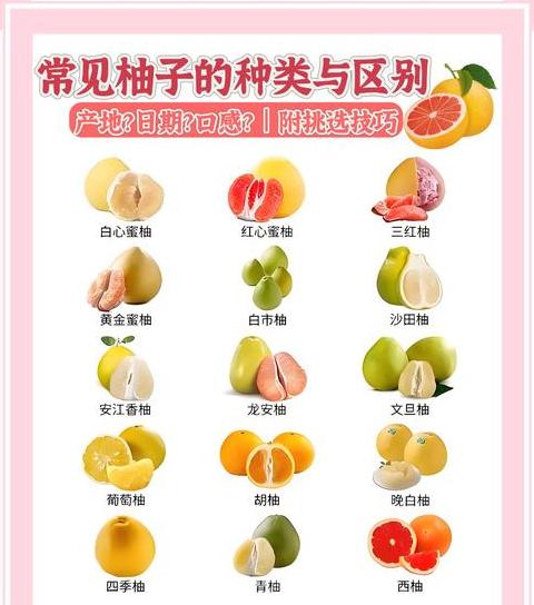 均聚PP与共聚PP及PPH详解对比