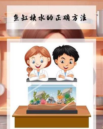 鱼缸换水时机及好处全解析