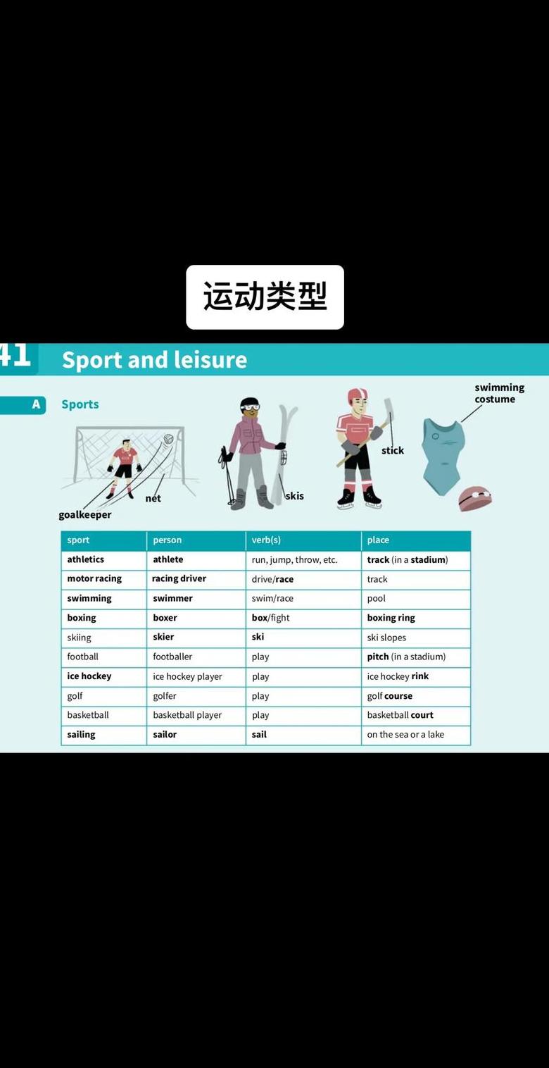 体育运动类型与功能解析
