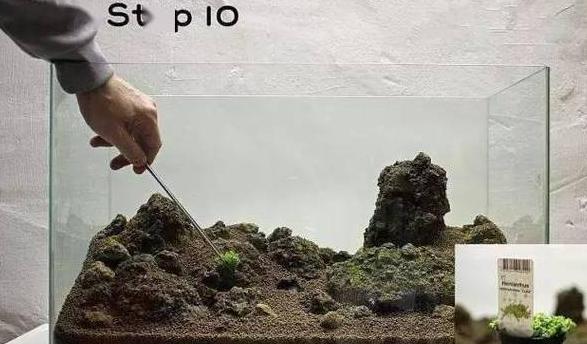 水草缸水质浑浊处理攻略