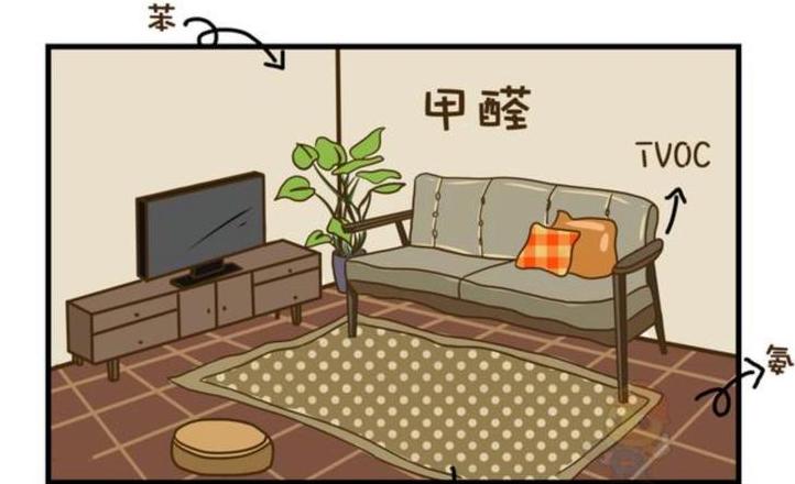 家具除苯指南：通风、吸附与专业服务，多重方法保障健康