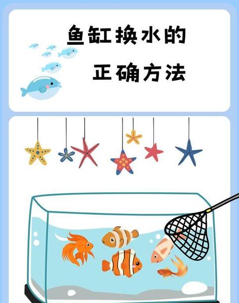 鱼缸水浑浊怎么办？解决鱼缸水质问题的实用方法