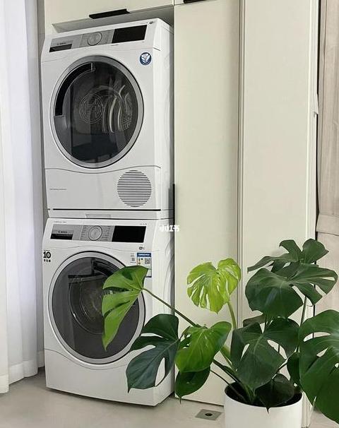 实惠之选高性价比洗衣机带烘干功能推荐