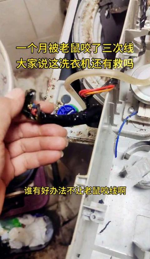 洗衣机电源键失灵排查指南