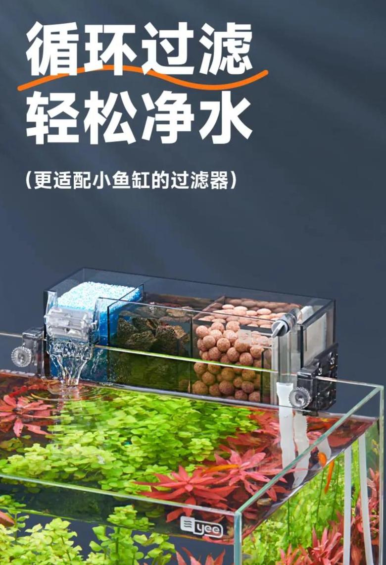鱼缸增氧泵与过滤器：需选其一还是可兼用？
