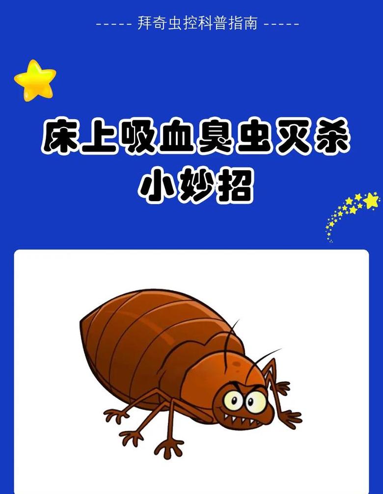 木质床板易生臭虫的原因分析
