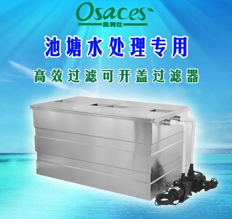 小型循环水养鱼成本解析