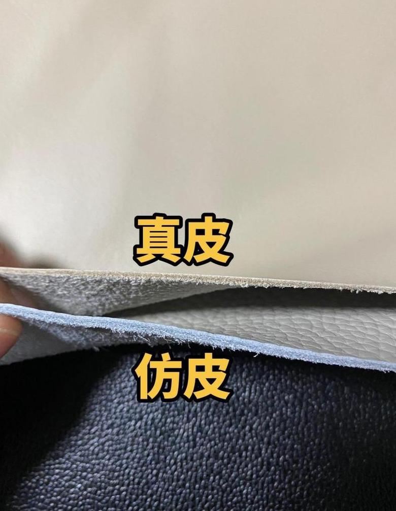 西皮与真皮沙发：使用寿命与保养差异解析