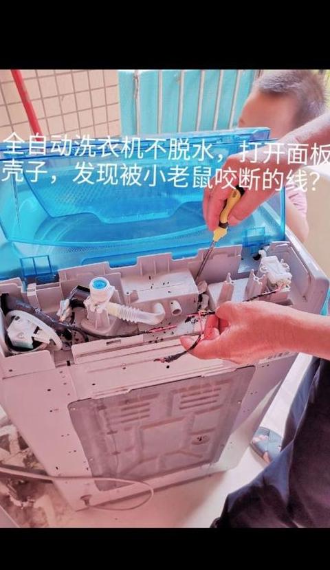 波轮洗衣机不脱水常见原因及解决方法