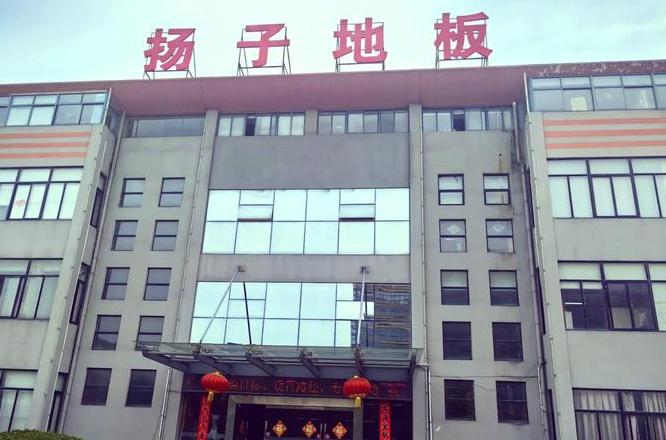 扬子地板品牌评测：环保品质引领市场
