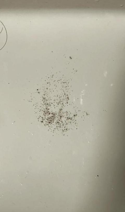 抽水马桶返水原因及解决办法